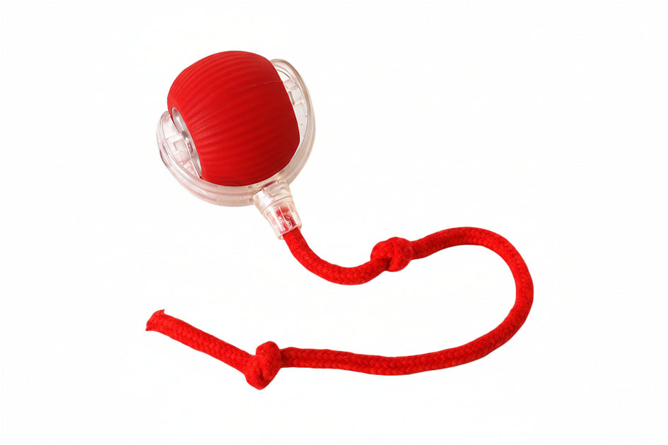 Interactive Rolling Cat Ball – Motion Activated Rechargeable Cat Toy w ...